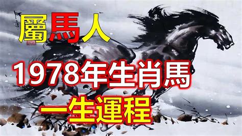 1978年屬馬2023年運勢|【1978屬馬2023年運程】78屬馬2023年運程大解析！貴人運爆棚。